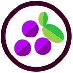 Grape SVG Icon
